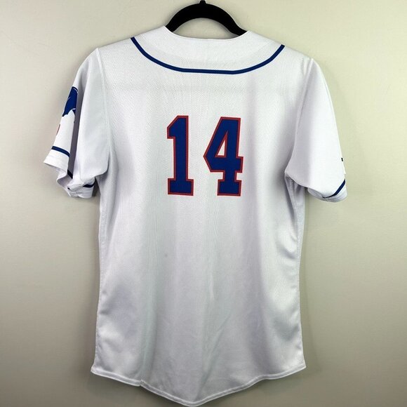 Des Moines cubs‎ jersey youth size large - Picture 6 of 9